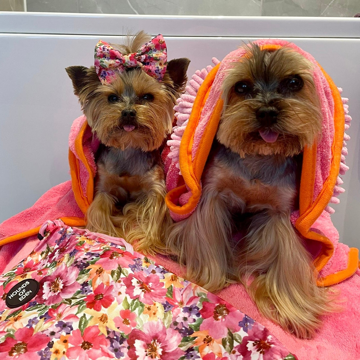 Florentina - Dog Towel + Carry Bag - The Bark Market