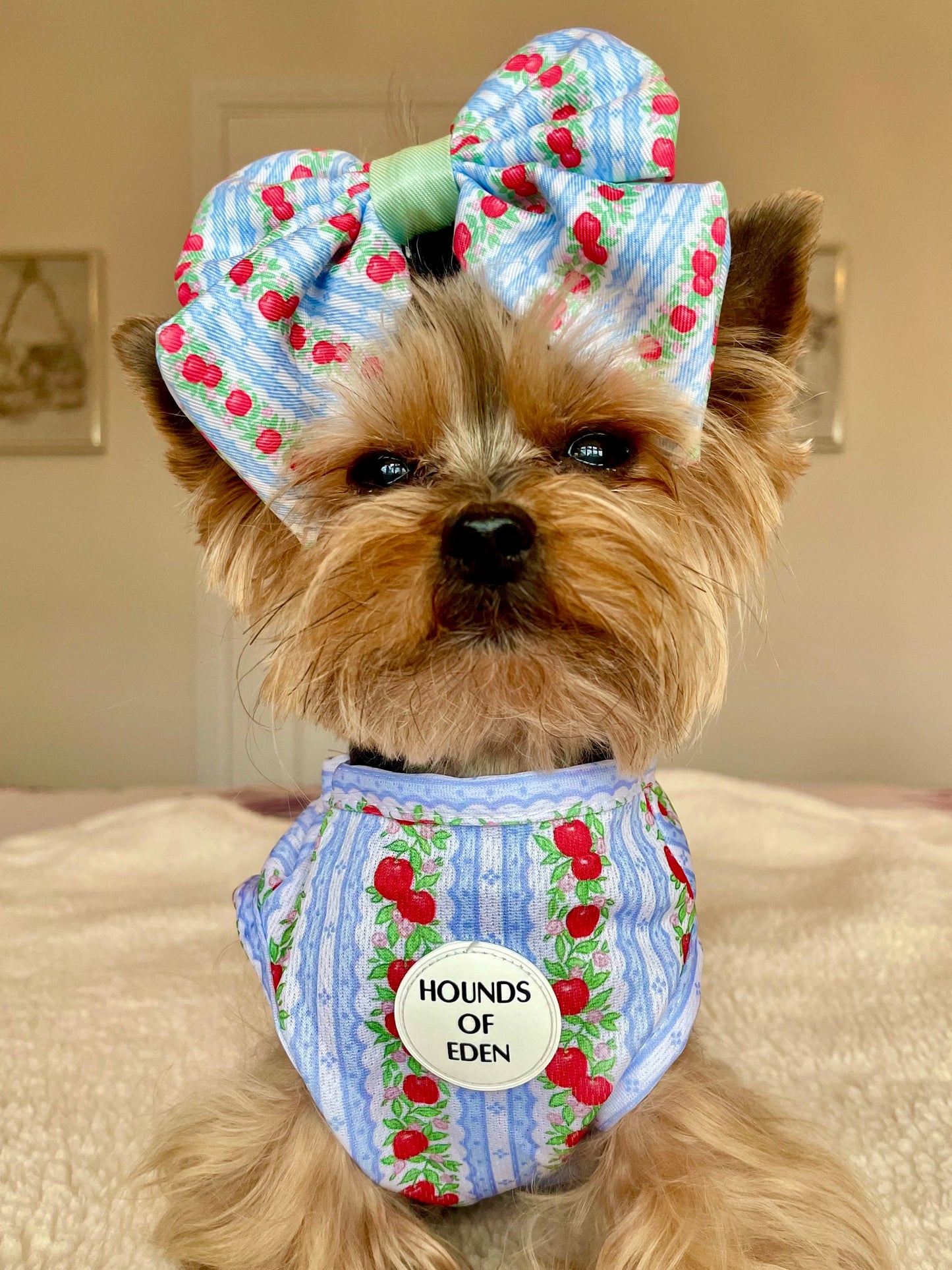 Eden's Orchard Dog Cooling Vest - The Bark Market