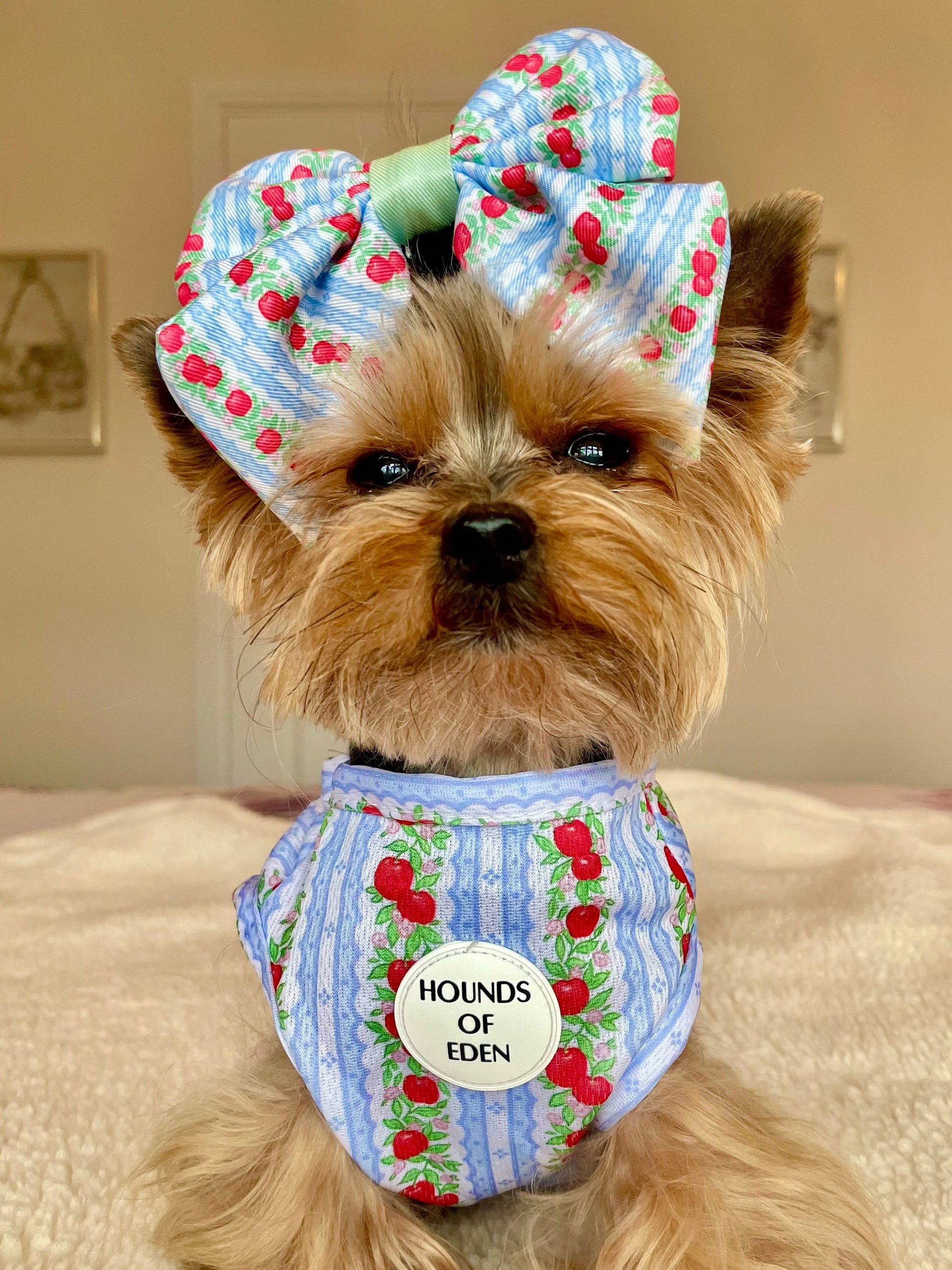 Eden's Orchard Dog Cooling Vest - The Bark Market