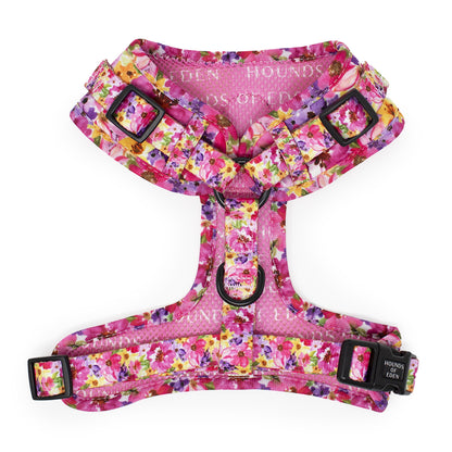 'Florentina' - Floral Dog Harness - The Bark Market
