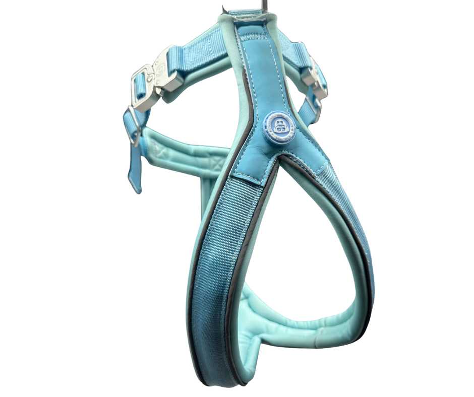 The 2.5cm BTactical™ Slip on Harness | Pastel Blue - The Bark Market