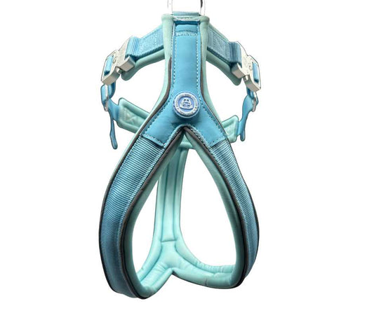 The 2.5cm BTactical™ Slip on Harness | Pastel Blue - The Bark Market