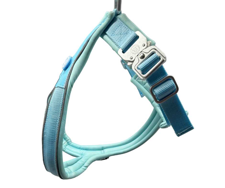 The 2.5cm BTactical™ Slip on Harness | Pastel Blue - The Bark Market