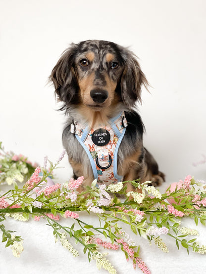 Bunny Tales - Blue, Dog Supaw Strong™ Lite Harness (XS-XL) - The Bark Market