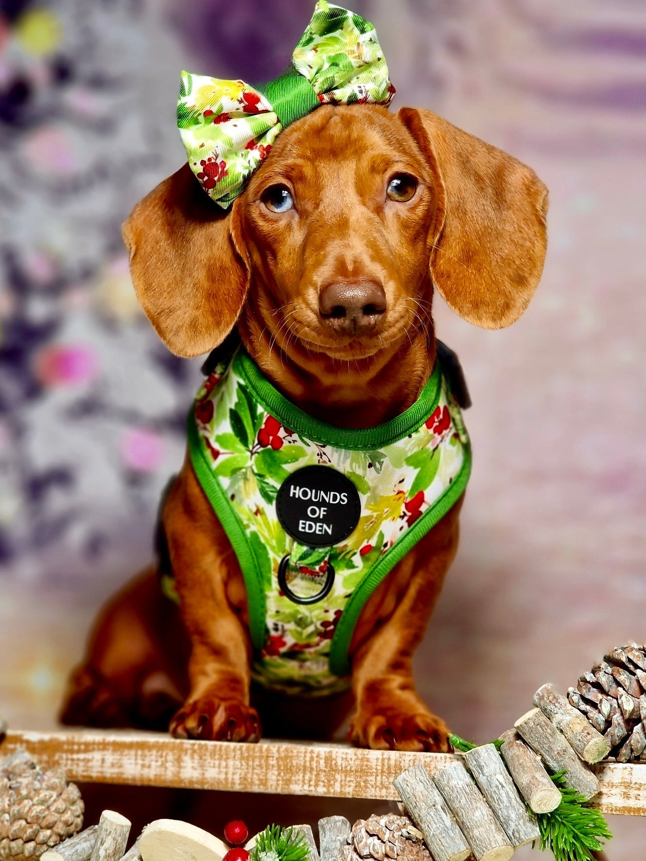 Winter Spruce & Berries Design Dog Harness - The Bark Market