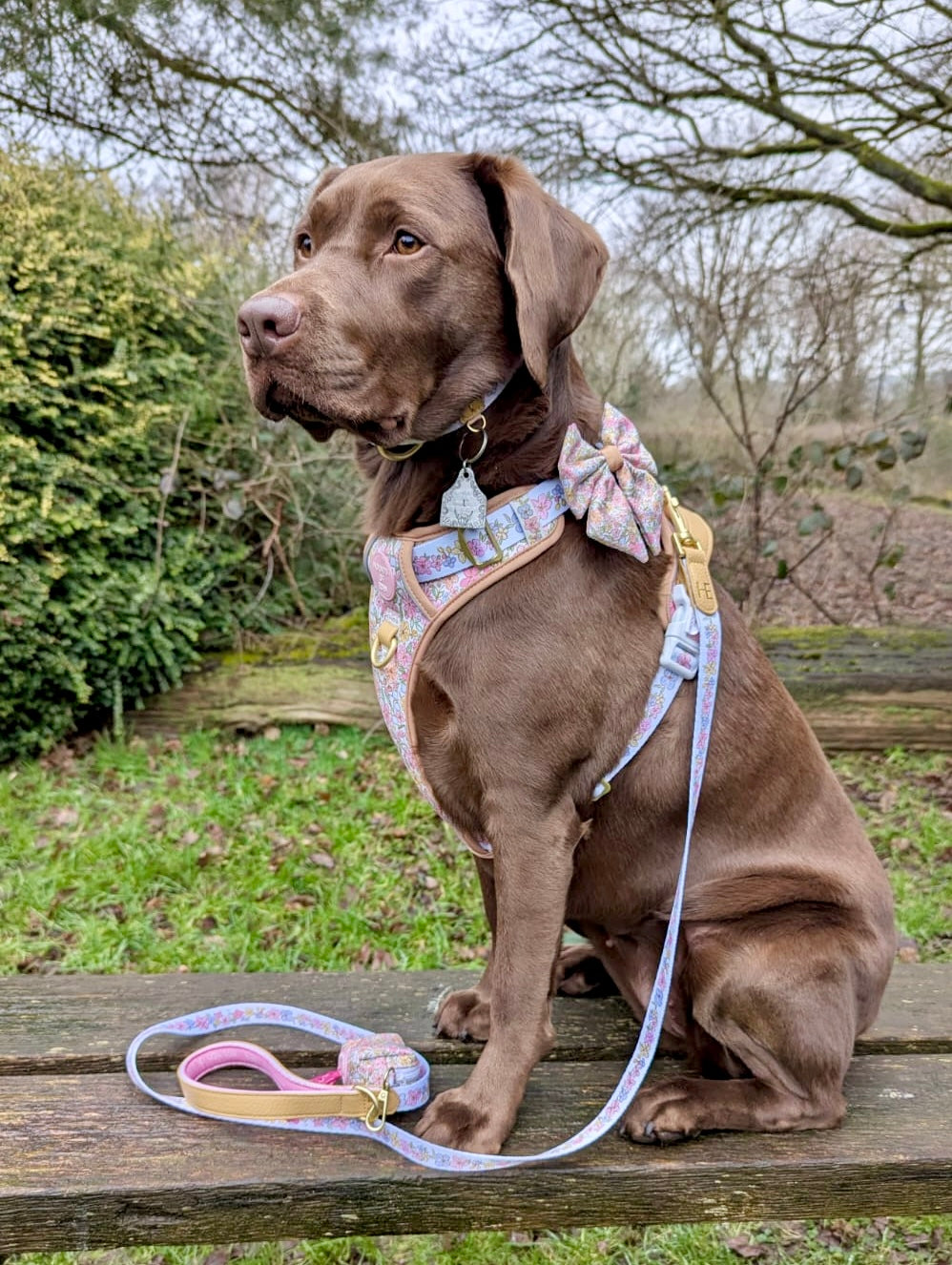 Pastel Petals - Leather Dog Lead - The Bark Market