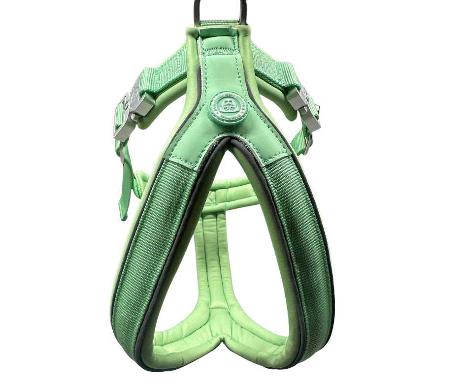 The 2.5cm BTactical™ Slip on Harnesses - The Bark Market