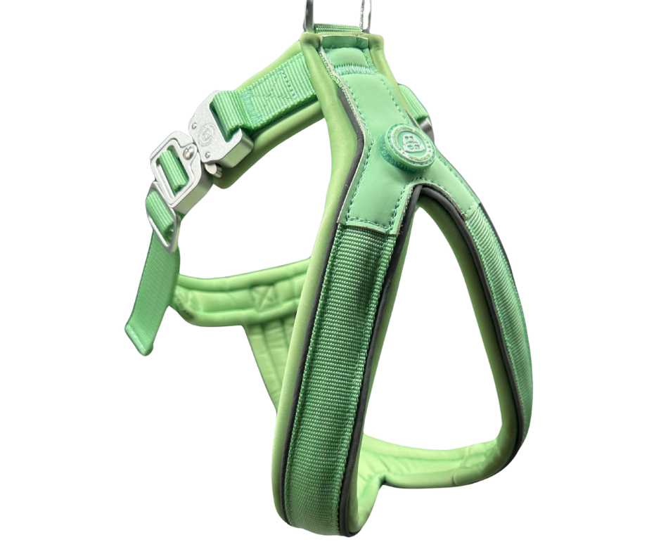 The 2.5cm BTactical™ Slip on Harness | Pastel Green - The Bark Market
