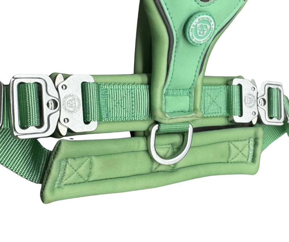 The 2.5cm BTactical™ Slip on Harness | Pastel Green - The Bark Market