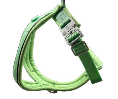 The 2.5cm BTactical™ Slip on Harness | Pastel Green - The Bark Market