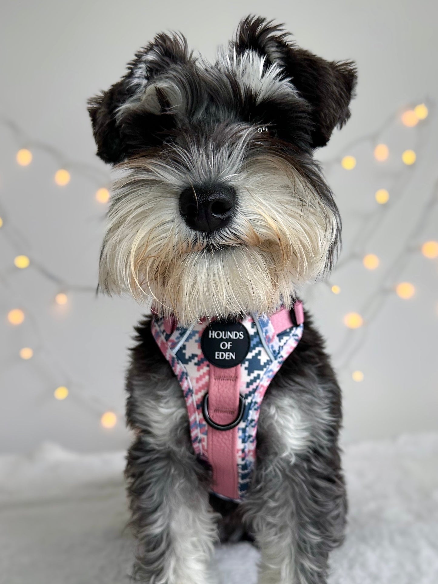 Pink Houndstooth Leather Dog Collar - The Bark Market
