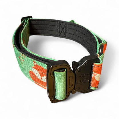 Inquisitive Fox Collar - The Bark Market
