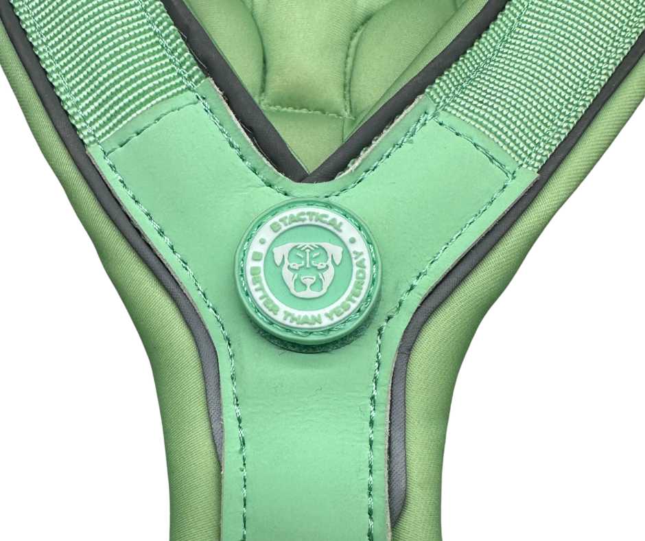 The 2.5cm BTactical™ Slip on Harness | Pastel Green - The Bark Market