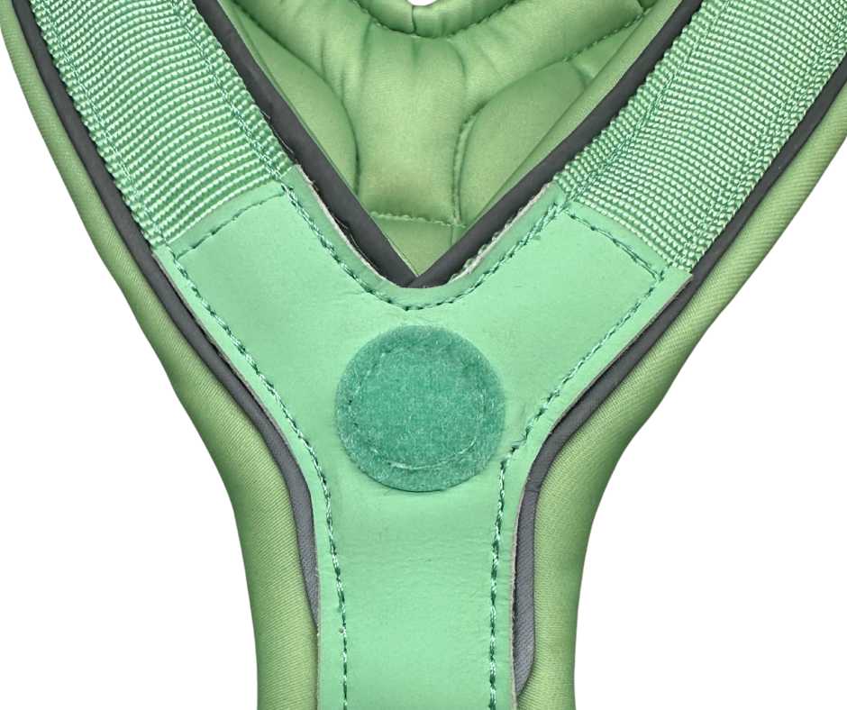 The 2.5cm BTactical™ Slip on Harness | Pastel Green - The Bark Market