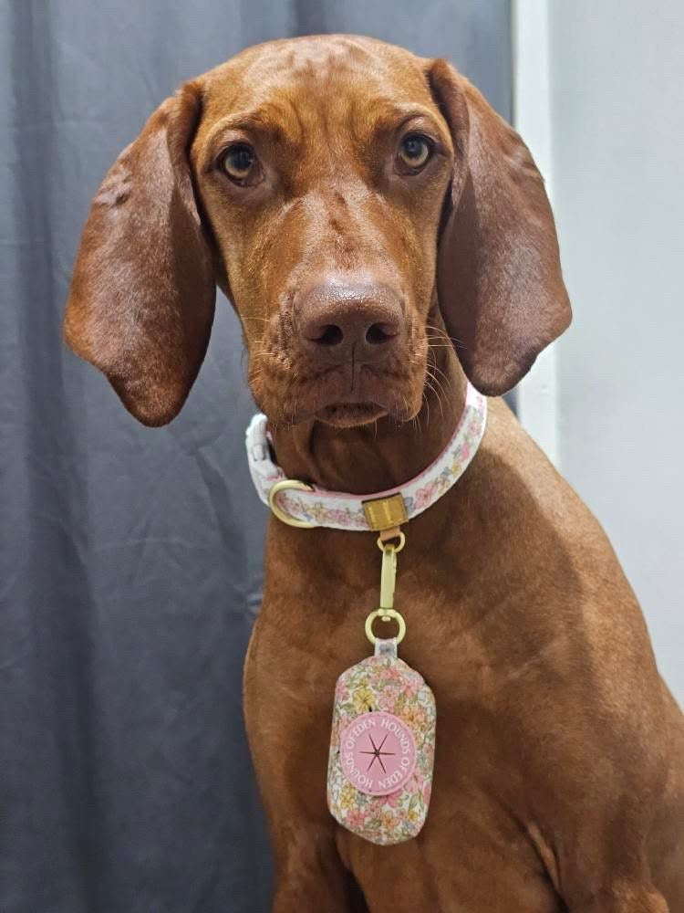 Pastel Petals - Poop Bag Holder - The Bark Market