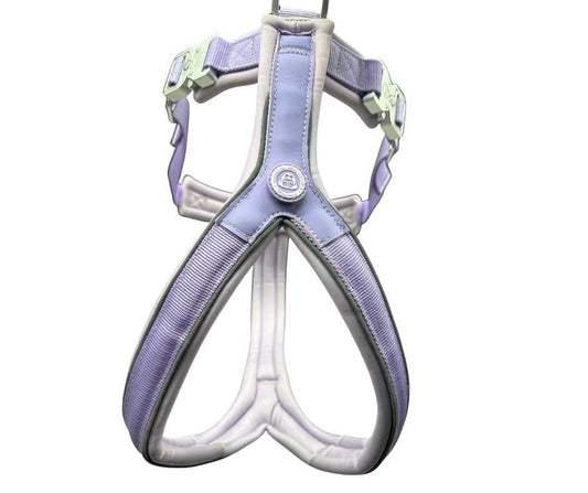 The 2.5cm BTactical™ Slip on Harness| Pastel Purple - The Bark Market