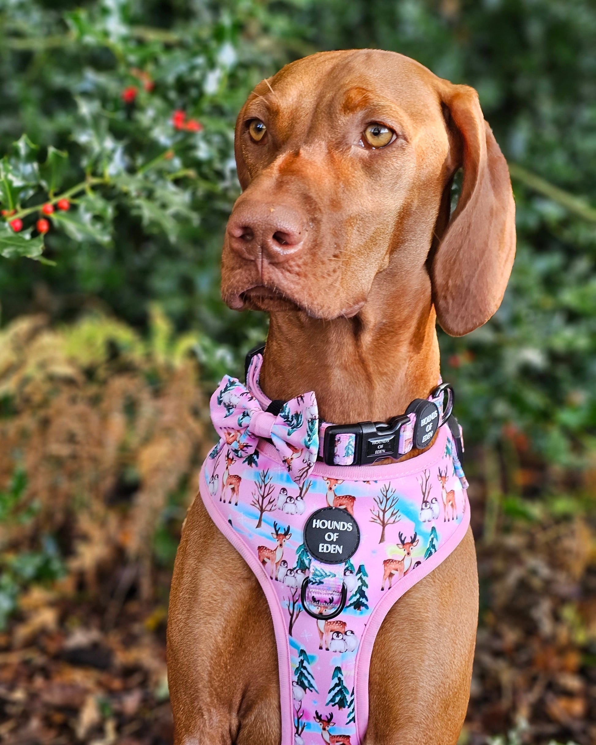 Aurora Nights - Pink Penguin Design Poop Bag Holder - The Bark Market