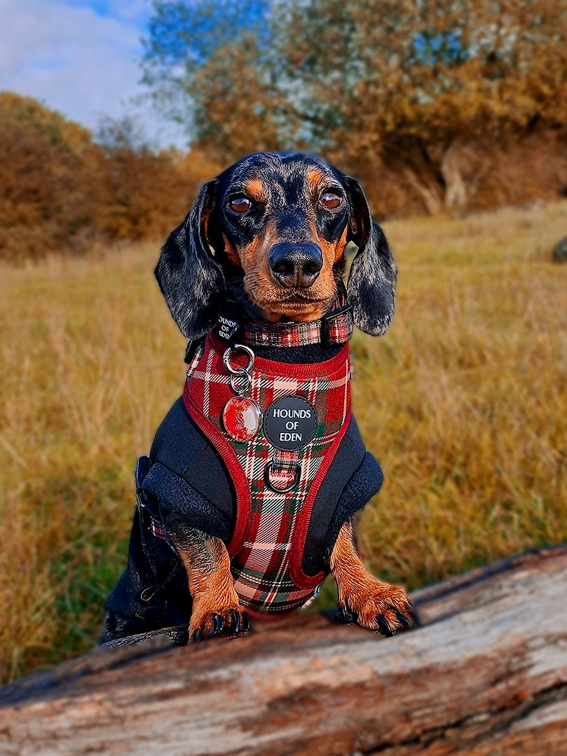 Tartan Me Up - Red & Cream Tartan Design Dog Harness - The Bark Market