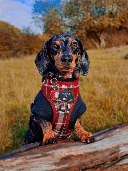 Tartan Me Up - Red & Cream Tartan Design Dog Harness - The Bark Market