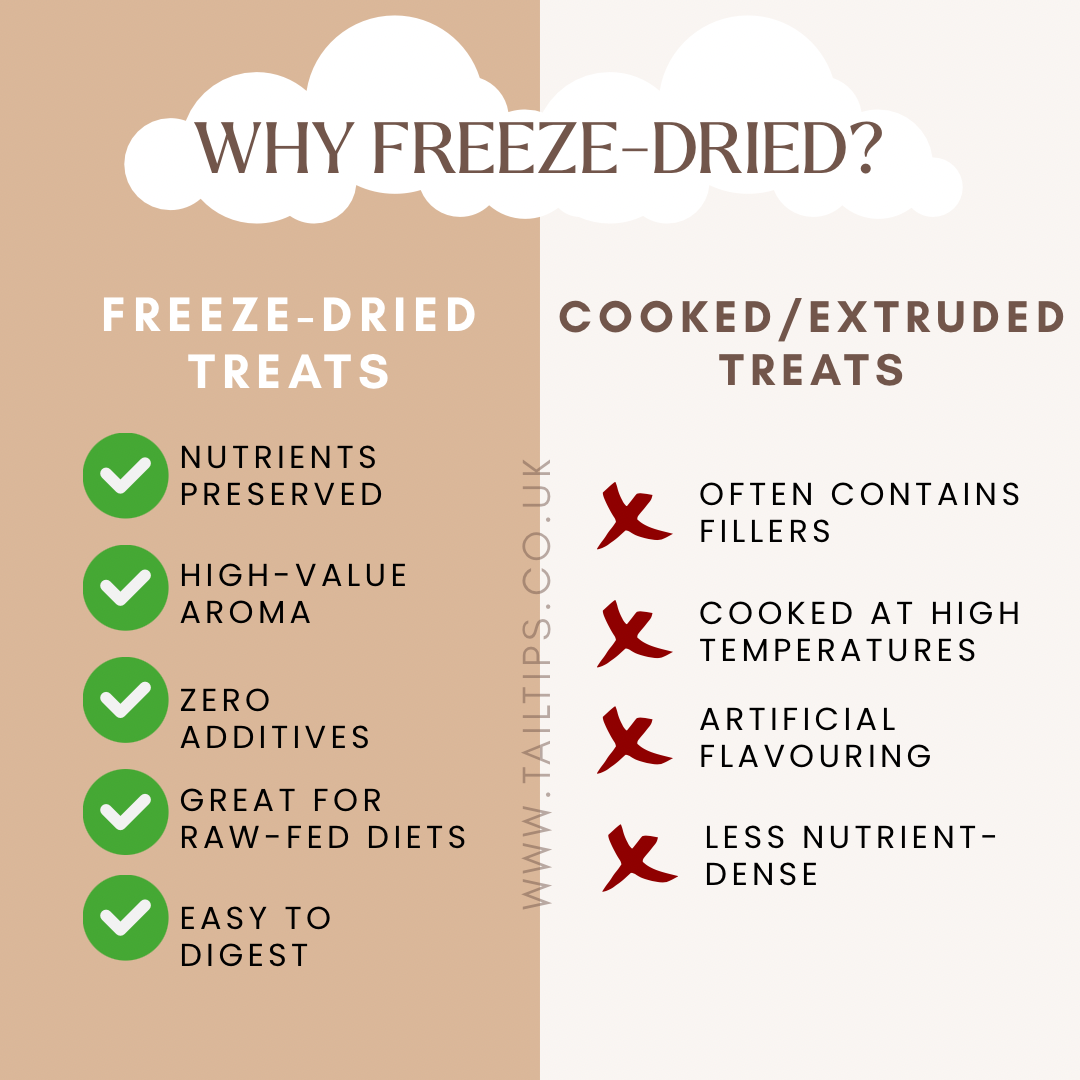 Salmon Swoon - 100% Freeze-Dried Salmon Treats | Pure & Natural | Tail Tips UK | 50g pack