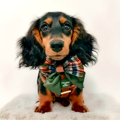 Oak Forest Plaid Dog Harness (XXS-XS) - The Bark Market