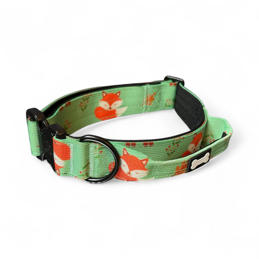 Inquisitive Fox Tactical Dog Collar (L–XL) – Heavy-Duty Strength Meets Bold Style - The Bark Market