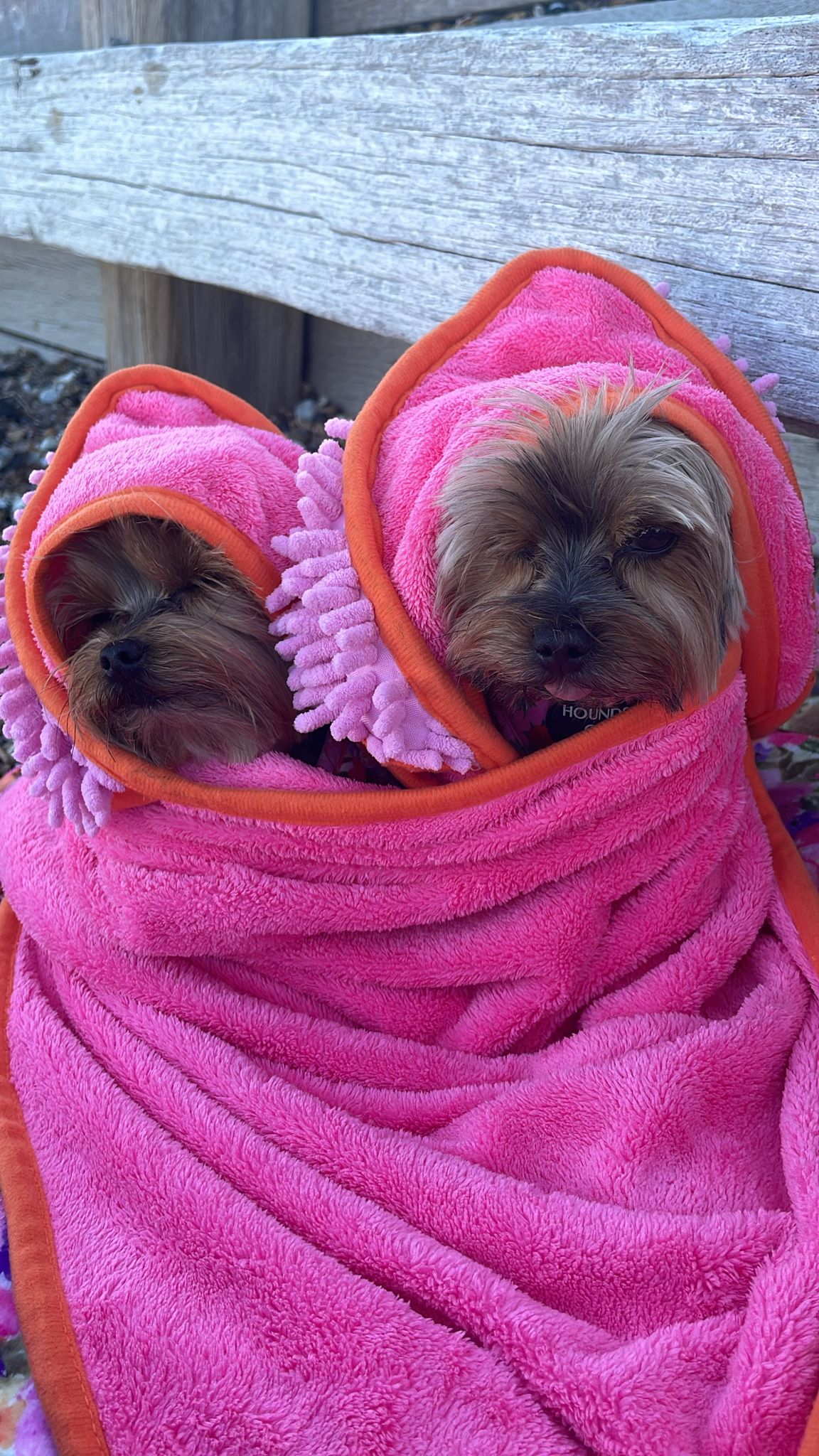 Florentina - Dog Towel + Carry Bag - The Bark Market