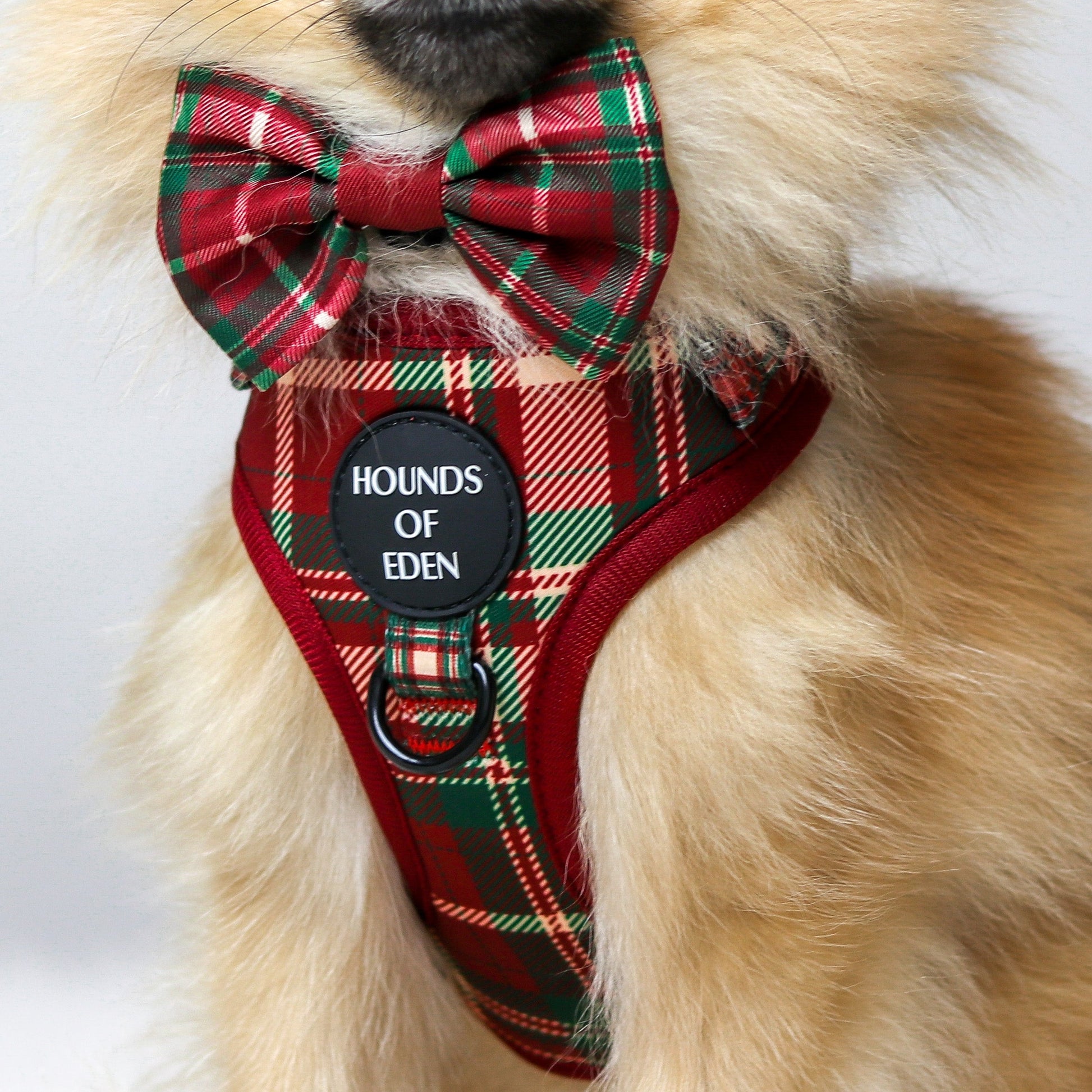 Tartan Me Up - Red & Cream Tartan Design Dog Harness - The Bark Market