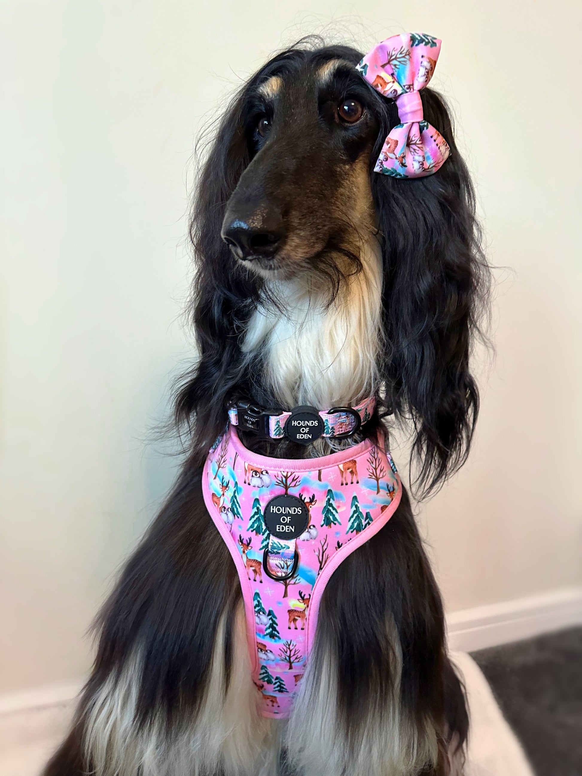 Aurora Nights - Pink Penguin Design Dog Harness - The Bark Market