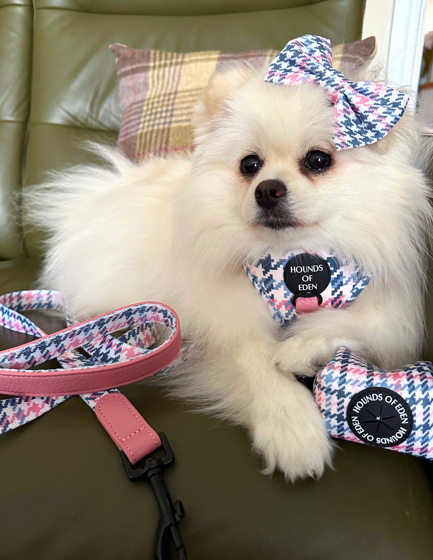 Pink Houndstooth Dog Harness (XXS-XS) - The Bark Market