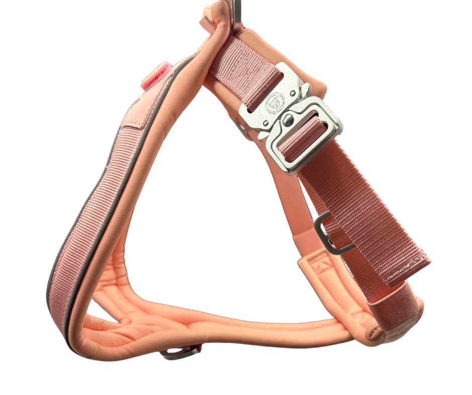 The 2.5cm BTactical™ Slip on Harness | Pastel Pink - The Bark Market