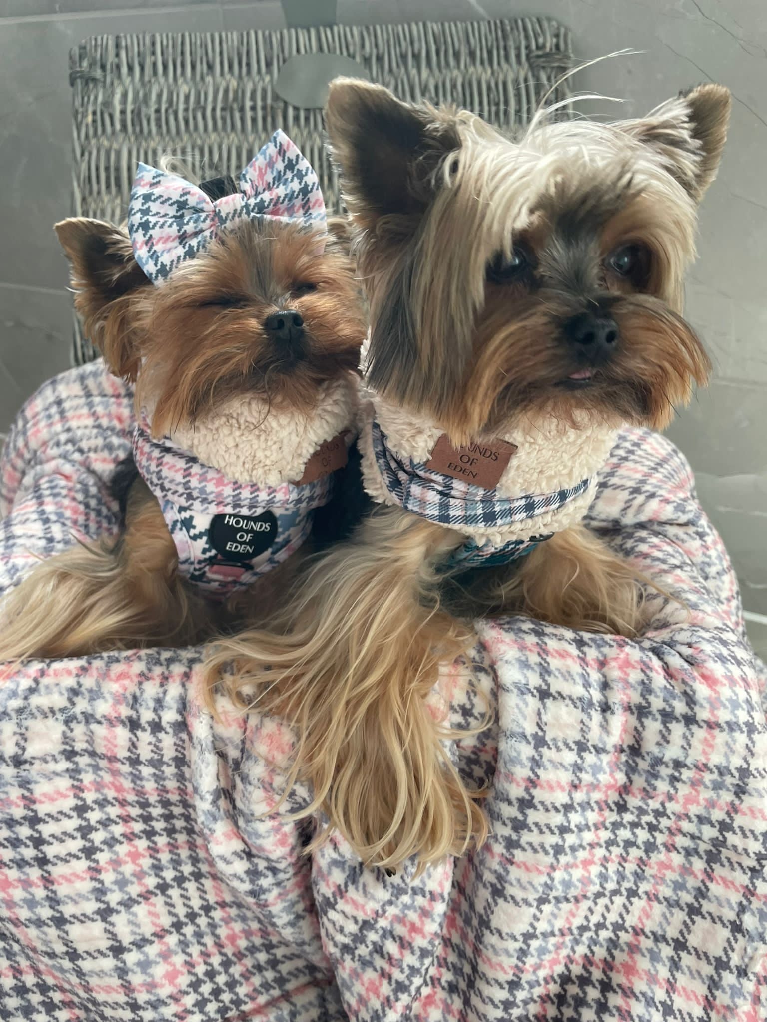 Pink Houndstooth Dog Snood - The Bark Market