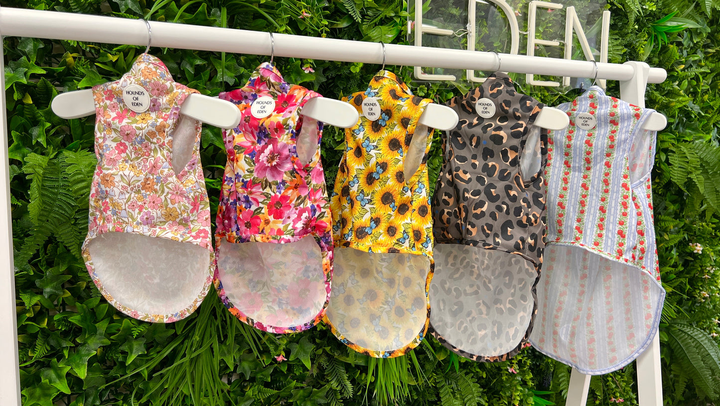 Eden's Orchard Dog Cooling Vest - The Bark Market