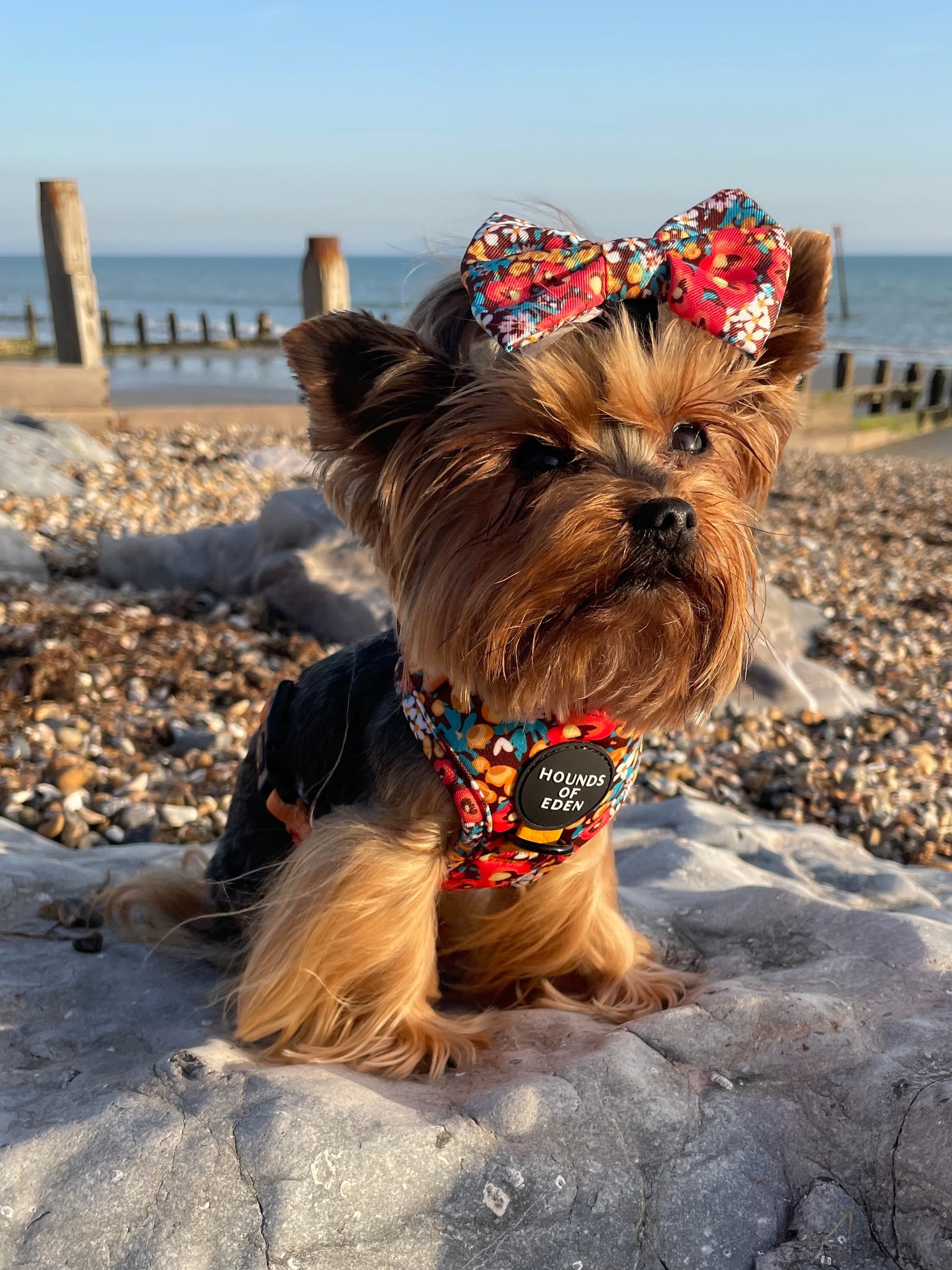 Retro Bloom Leather Dog Collar - The Bark Market