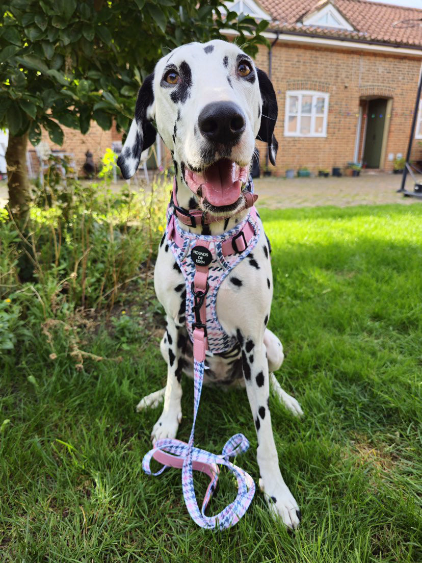 Pink Houndstooth Dog Supaw Strong Lite™ Harness (XS-XL) - The Bark Market