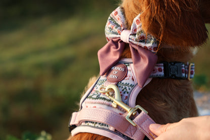 Bella's Jumper Dog Sailor Bow Tie - The Bark Market