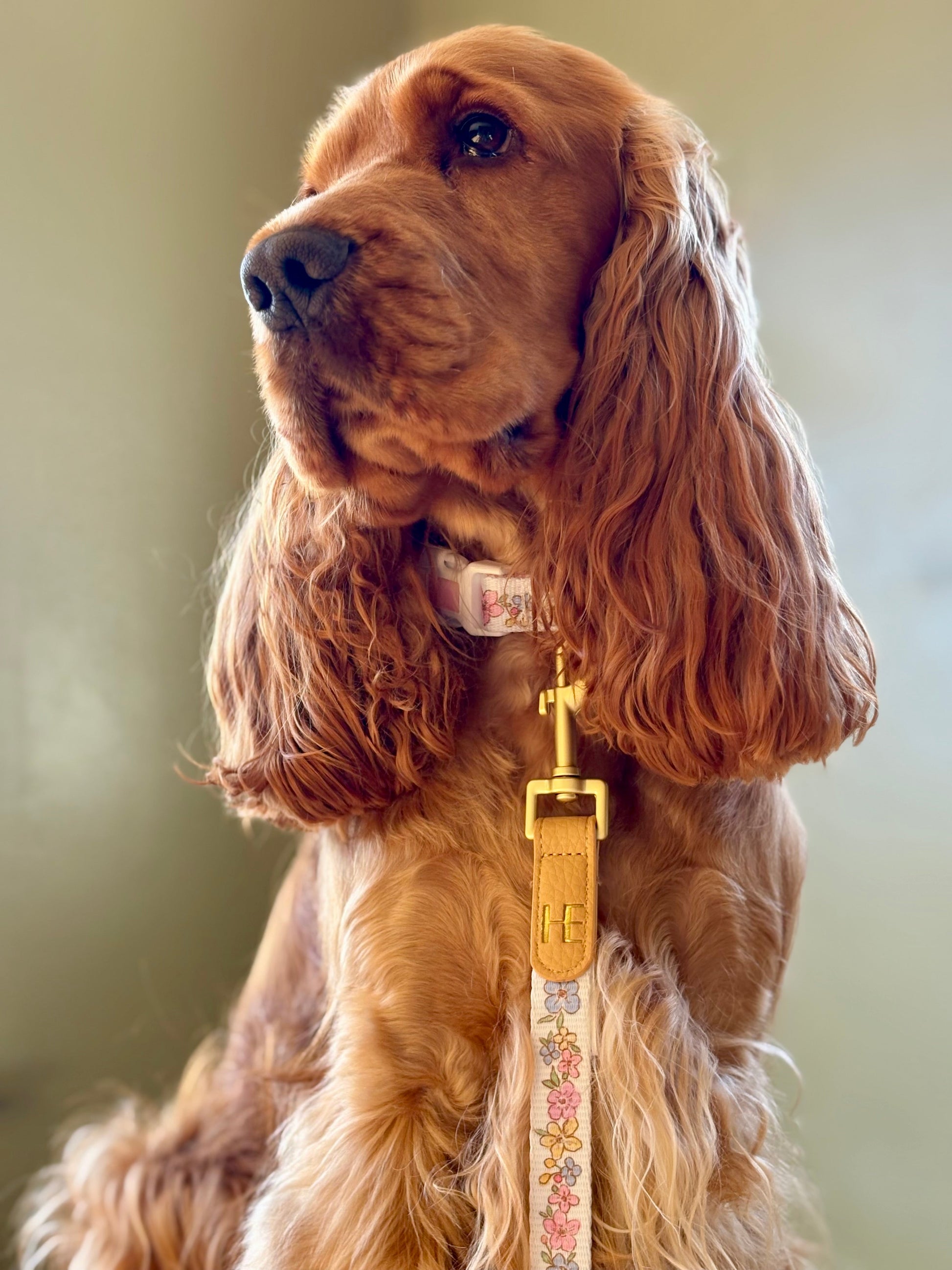 Pastel Petals - Leather Dog Lead - The Bark Market