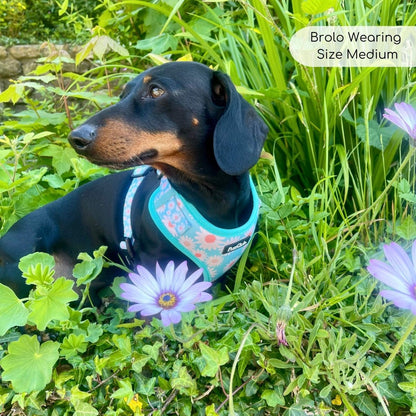 Adjustable Harness - Pastel Daisy - The Bark Market