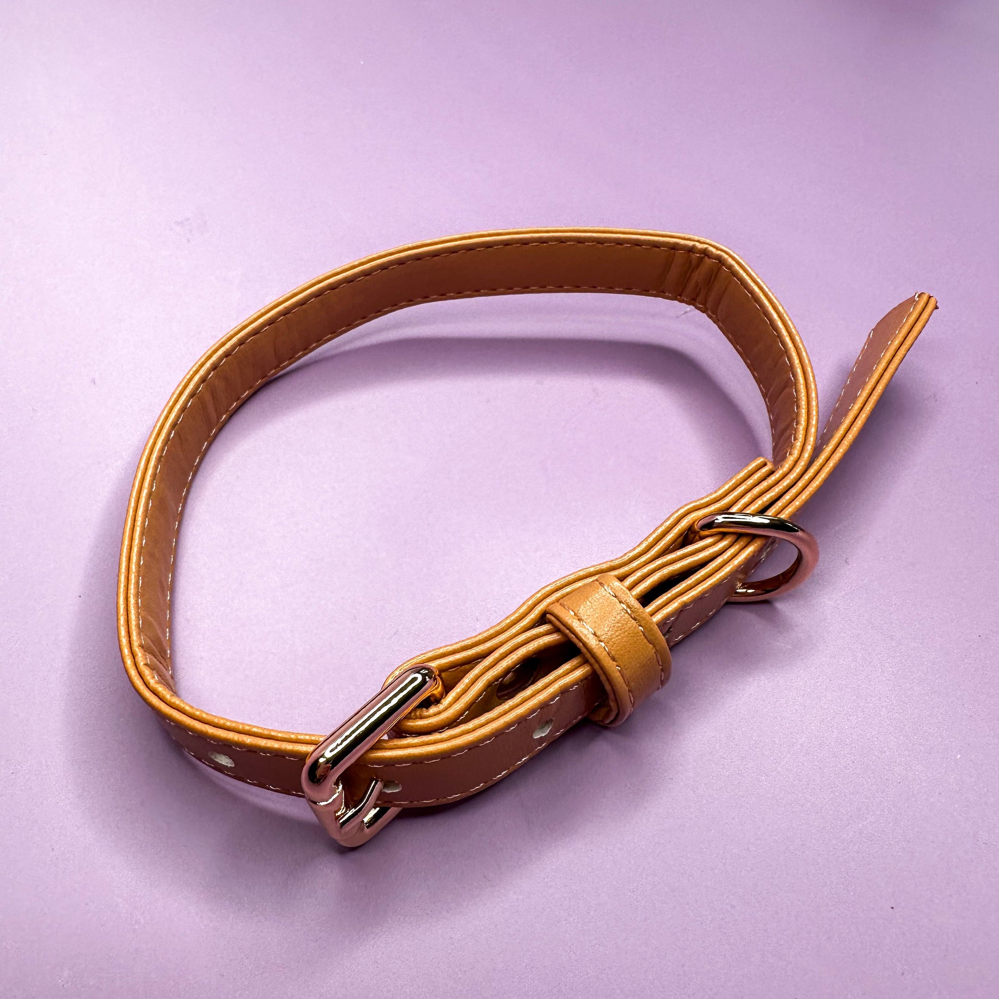 Alfresco Pup vegan leather dog collar - camel colour buckle dog collar - The Bark Market