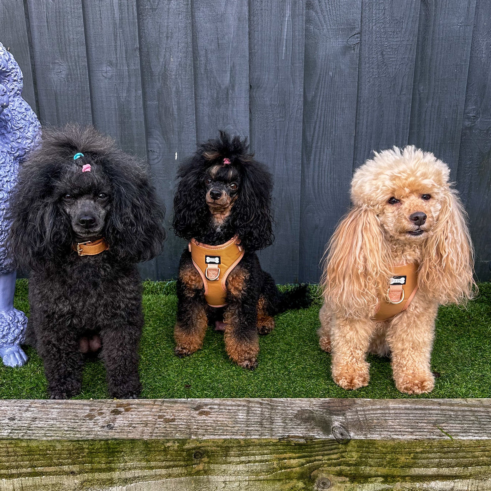 Alfresco Pup faux leather dog harness - camel colour adjustable dog harness - The Bark Market
