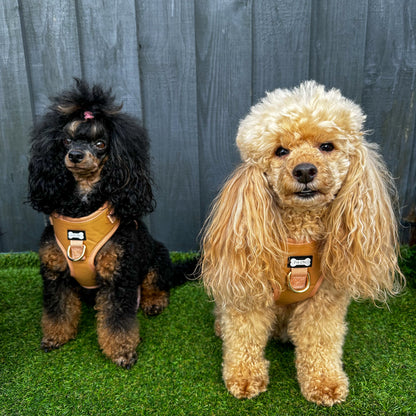Alfresco Pup faux leather dog harness - camel colour adjustable dog harness - The Bark Market