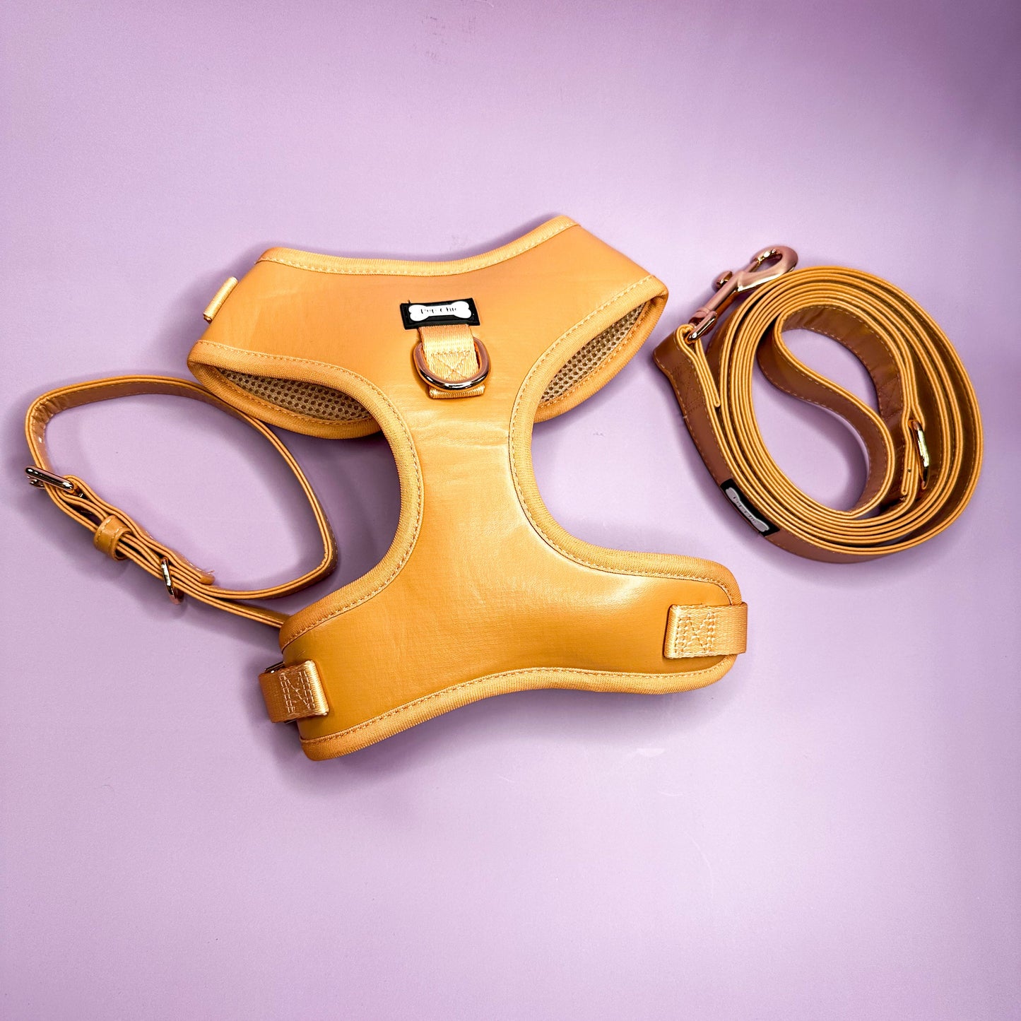 Alfresco Pup vegan leather 5ft dog lead - The Bark Market