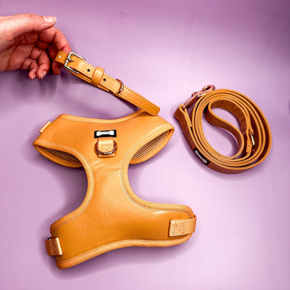 Alfresco Pup vegan leather 5ft dog lead - The Bark Market