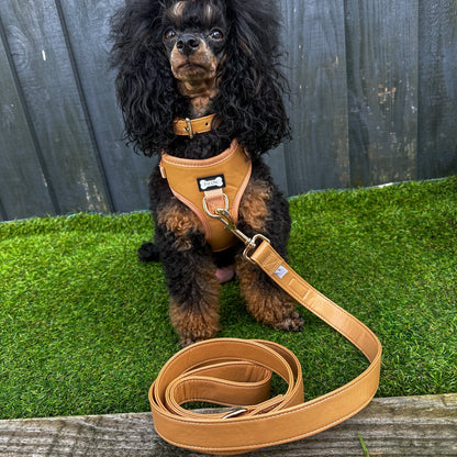 Alfresco Pup vegan leather 5ft dog lead - The Bark Market