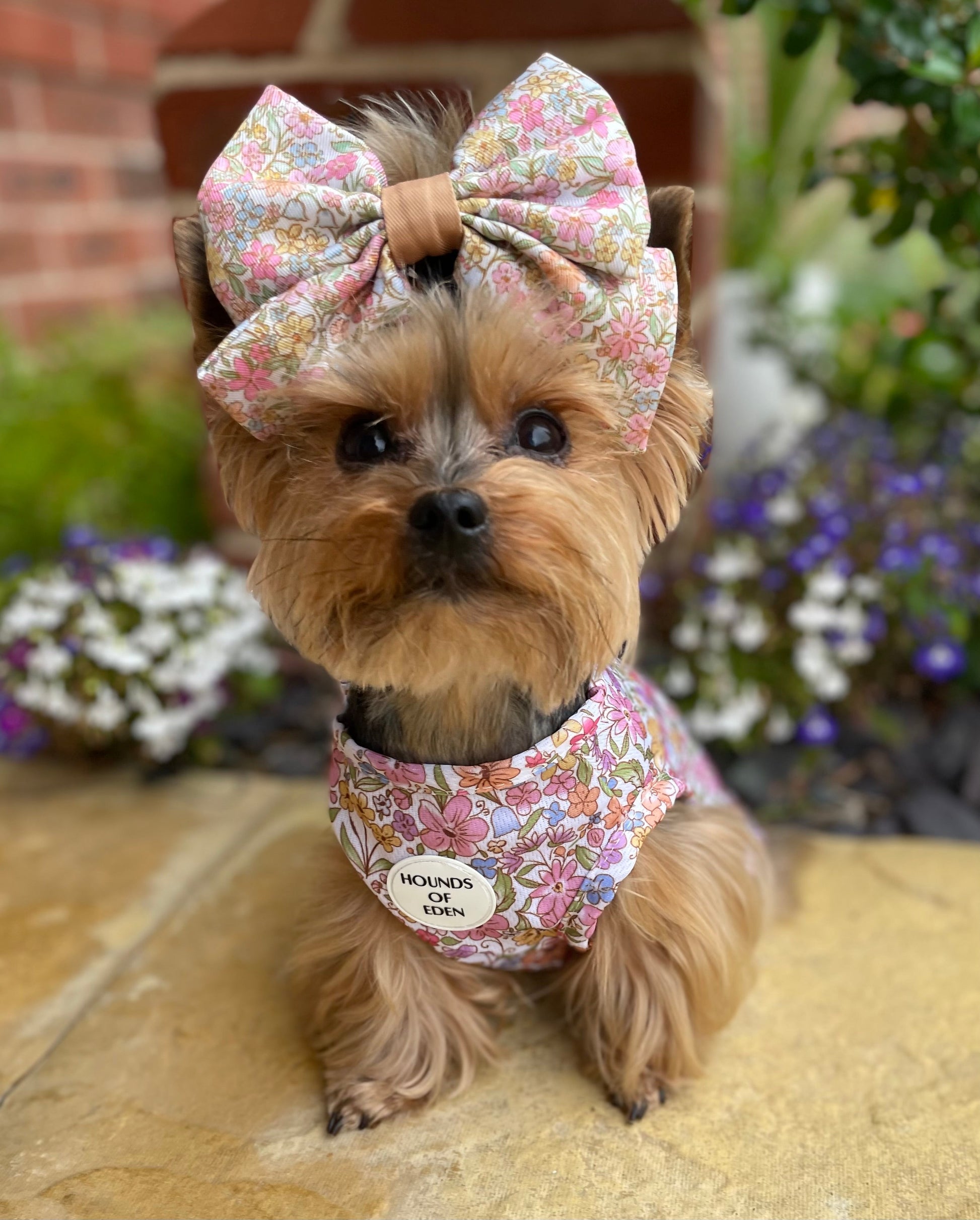 Pastal Petals Dog Cooling Vest - The Bark Market