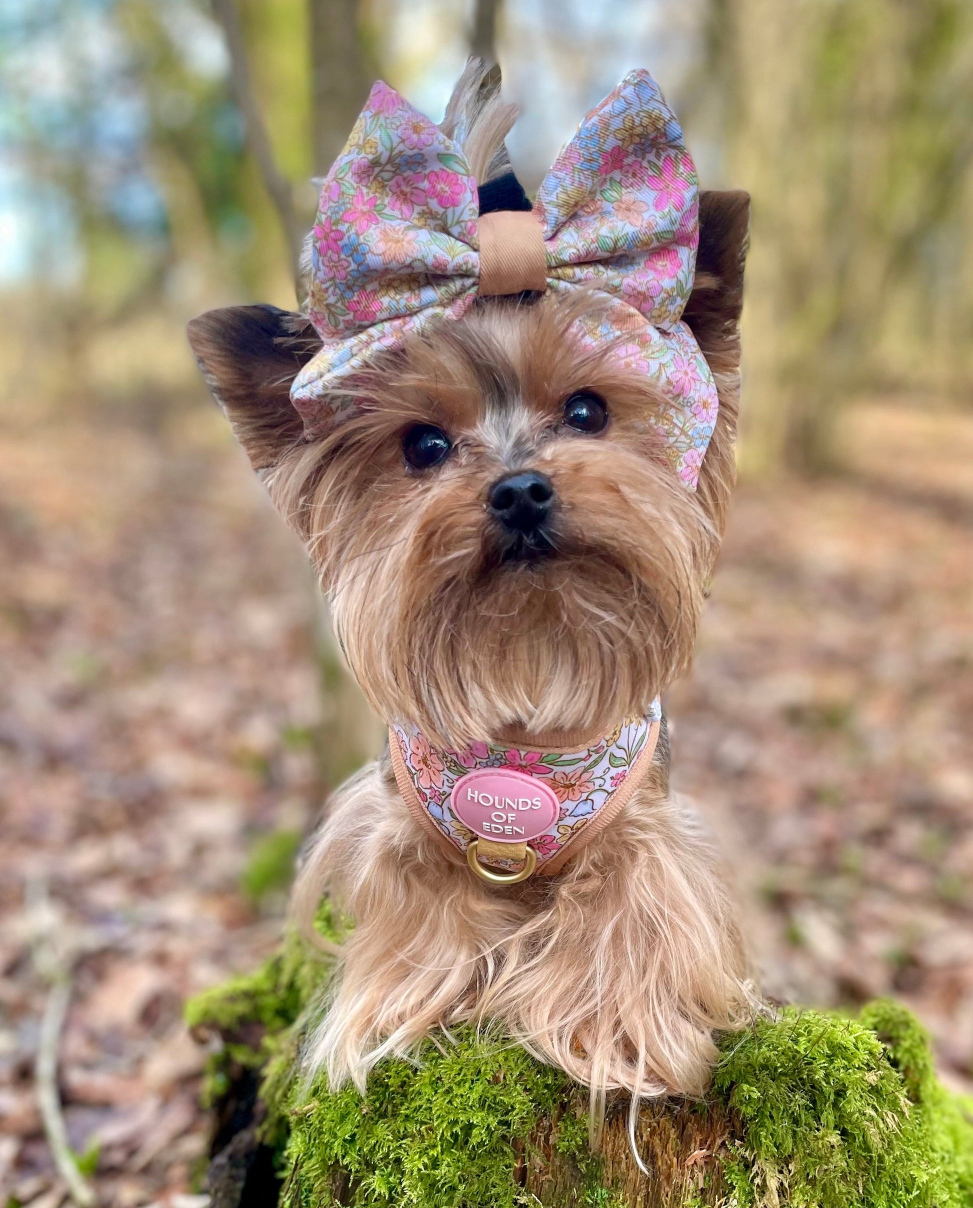 Pastel Petals - Dog Sailor Bow Tie - The Bark Market