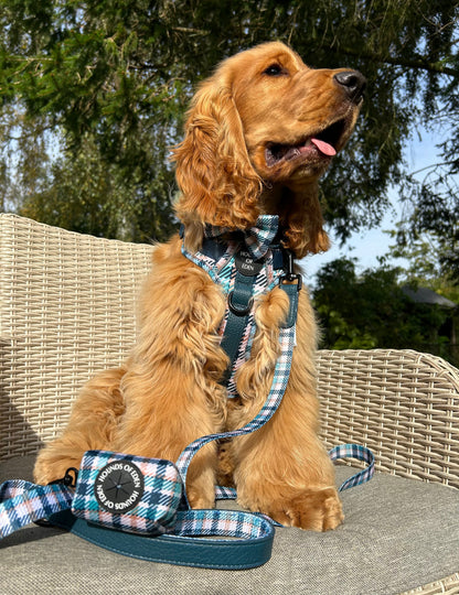 Tealing Smart Dog Supaw Strong Lite™ Harness (XS-XL) - The Bark Market
