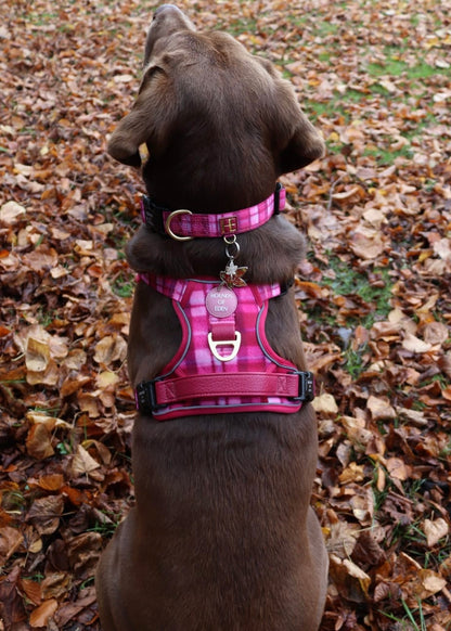 Rose Berry Plaid - Supaw Strong™ Lite Dog Harness (XS-XL) - The Bark Market