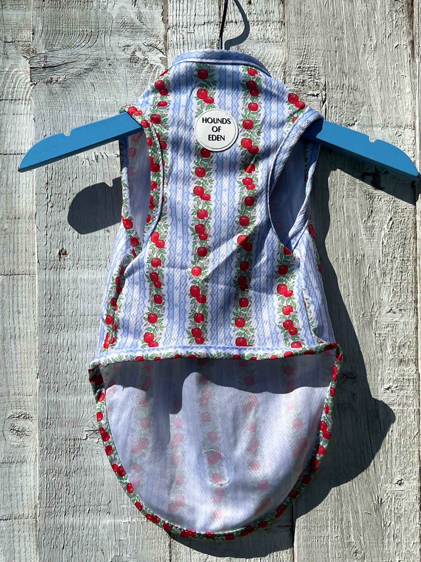Eden's Orchard Dog Cooling Vest - The Bark Market