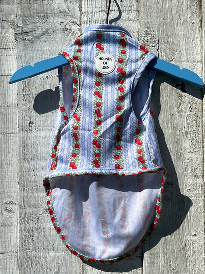 Eden's Orchard Dog Cooling Vest - The Bark Market